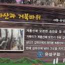 대전외삼중학교 Daum카페