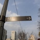 개나리아파트 놀이터 | 서울 개나리 명소 응봉산 개나리축제 봄꽃축제