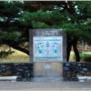중앙공원자판기