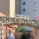 동삼스파게티 네이버블로그