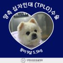 언제나동물병원 이미지