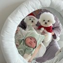 중앙모터스 이미지