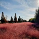 낙동강변25 이미지