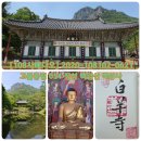 NR-18[구례로]-상-291 | [108사배다오] 2020-108102-0621 054 고불총림 장성 백암산 백양사