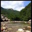금원산자연휴양림(거창) 이미지