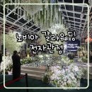 대구 결혼식장 추천 ‘노비아 갈라웨딩 전자관점’ 보타닉가든홀 하객 후기