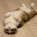 (주)행복진로마트 이미지