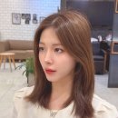 제와이붙임머리