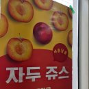 쥬스킹 - 태안군 동문2길 12-4 | 태안과일카페에서 만난 시원한 쥬스킹 태안점 후기
