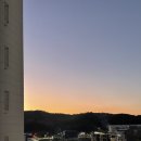 로제나뷰티