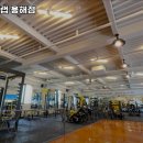 디비피트니스랩 용해 네이버블로그