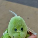 늘솔길913 이미지