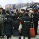 고향우시장 이미지