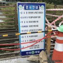 코호한의원 | 앨리스&#39;s 클리닉 아홉_코호한의원 비염치료 4개월 경과 및 후기