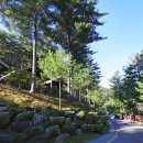 하추자연휴양림 야영장 이미지