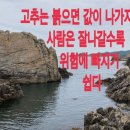 고추는 붉으면 값이 나가지. 이미지