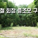 이병철 회장 증조모 진양강씨 구광터 이미지