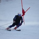 양현규