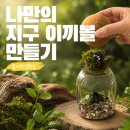 친환경 식물 메이커 | [꼼지락 실험실] 화분 없이 식물을 키운다고요? 목포 꼼지락 실험실 나만의 지구 이끼볼 만들기 후기