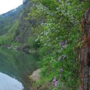 강변의 수채화 이미지