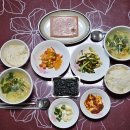 울모래마을 | 귀농·귀촌, 살아보고 결정하세요! 완도에서 3달 살아보기, 울모래마을에서의 넷째 날