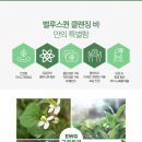 벨루스퀸 네이버블로그