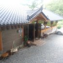 산속의친구 이미지