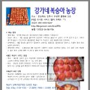 강가네농장 이미지