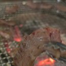 코뚜레정육