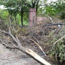 모롱지공원 이미지