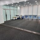 도그플래닛 이미지