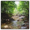 지렌트카 이미지