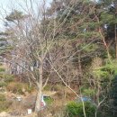 종경농장 이미지