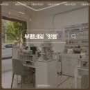 잇뽐