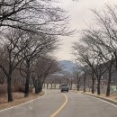 투썸플레이스 맞은편 | 대구 달성군 송해공원 탐방후기(빙벽, 카페 찬스, 송해 기념관)