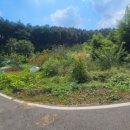 하빈면사무소 이미지