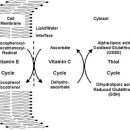 광주주사랑의원 이미지