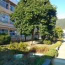 평창고등학교 이미지