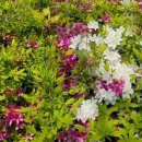 사각지대 지원사업 프로그램 이미지