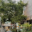 포스트노빌즈 네이버블로그