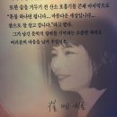 혼불