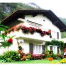 이미지-집 이미지