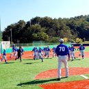 태장체육단지 야구장 이미지