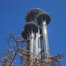 [베이징] Observation Tower at Olympic Park 이미지