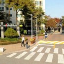 고양대로 255번길 이미지