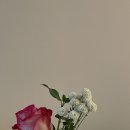 더채운하우스 이미지