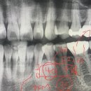 일산앞선치과의원 이미지