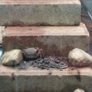 창녕우포곤충나라 이미지