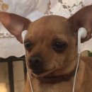 컨퍼런스하우스달개비정동점 | [종로맛집] 덕수궁 옆 고급 한정식 코스요리 컨퍼런스하우스 달개비