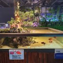 아이손원주 이미지